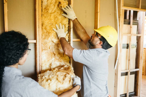 Best Fiberglass Insulation  in Petersburg, MI